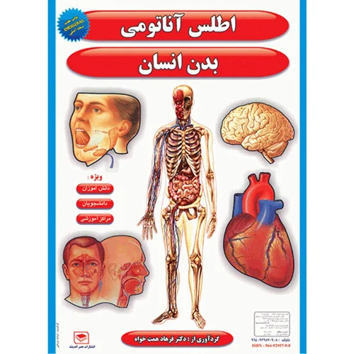 پوستر طرح  اطلس آناتومی بدن انسان مجموعه 15 عددی