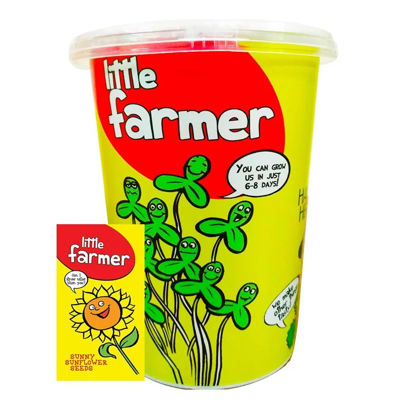 بذر  آماده برای  کشت کشاورز کوچولو مدل گل آفتابگردون همراه با گلدان